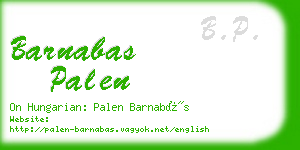 barnabas palen business card